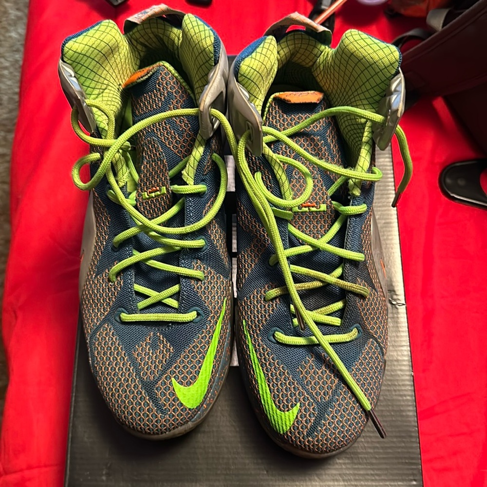 Boys Lebron 12s